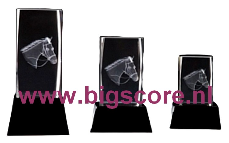 Paardenhoofd 3D Kristal BSST 67614 t/m 67616